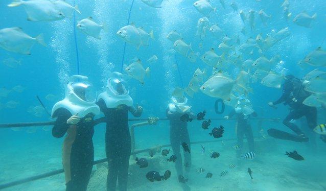 为啥是fishing而不是to fish?-专业知识问答网页